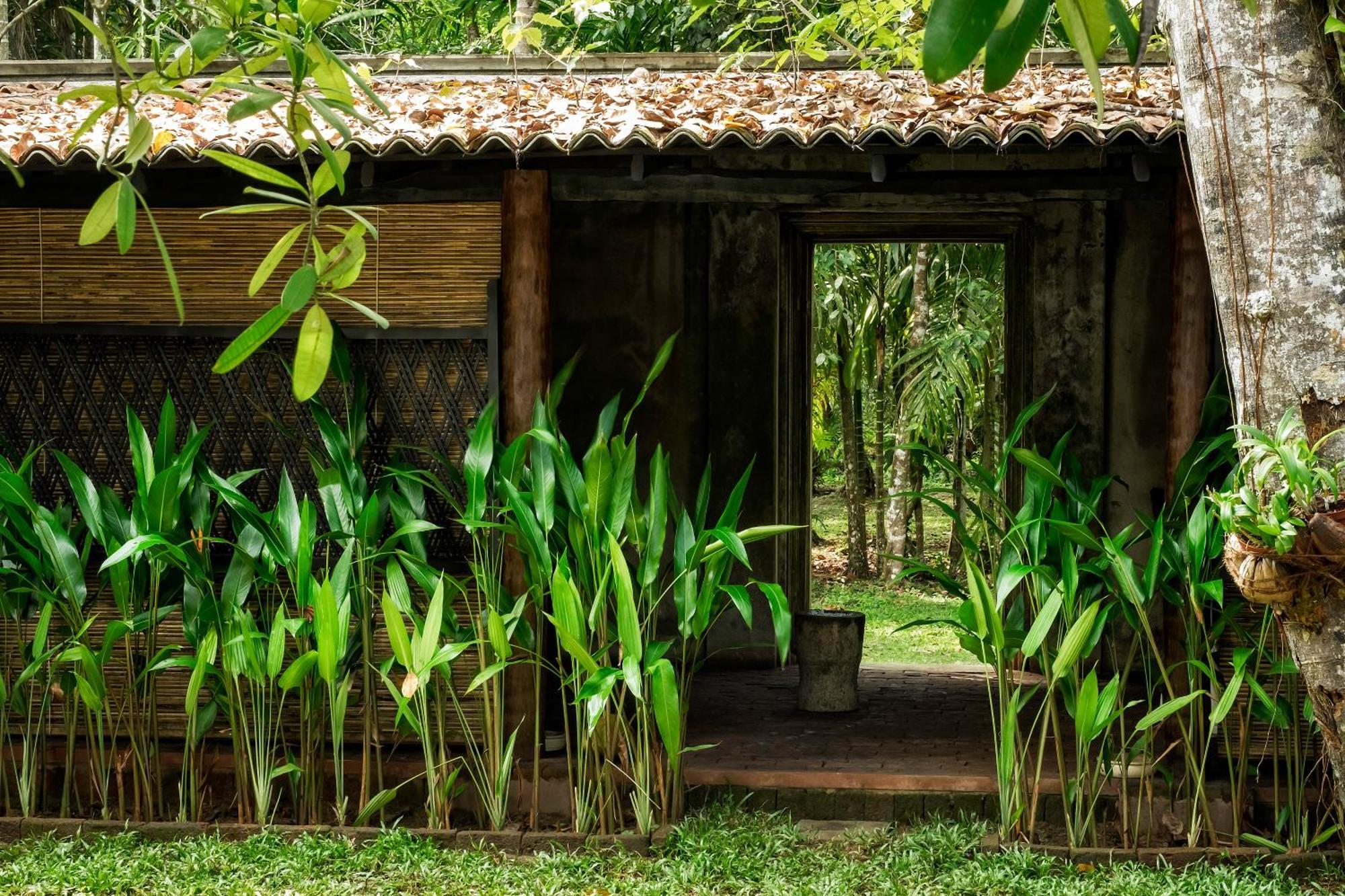 Nisala Arana Boutique Hotel Bentota Kültér fotó