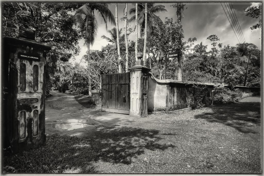 Nisala Arana Boutique Hotel Bentota Kültér fotó
